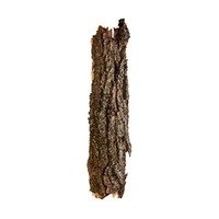 Woody & Earthy