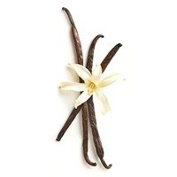 Vanilla